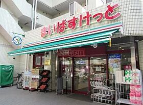 ディアレイシャス錦糸町 201 ｜ 東京都墨田区緑４丁目19（賃貸マンション1R・2階・31.38㎡） その8