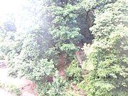 棚