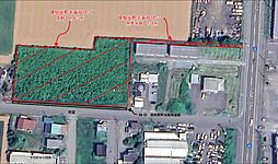 物件画像 倶知安町高砂　土地