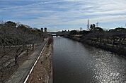 荒子川公園の外観