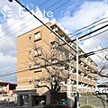 名古屋市営東山線 藤が丘駅 徒歩9分の賃貸マンション