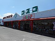 ドラッグストア 「ドラッグ・コスコ笹部店まで700m」