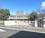 大津市立平野幼稚園まで223m