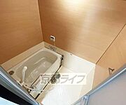 3点セパレート
