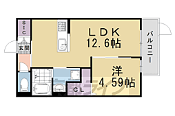 JR山陰本線 円町駅 徒歩8分の賃貸アパート 1階1LDKの間取り