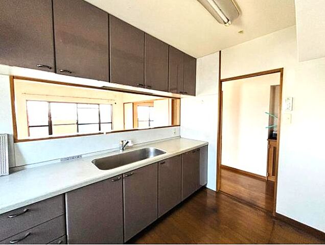 キッチン ハズパレス舞鶴 4階/-