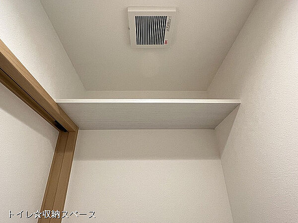 ティエラ