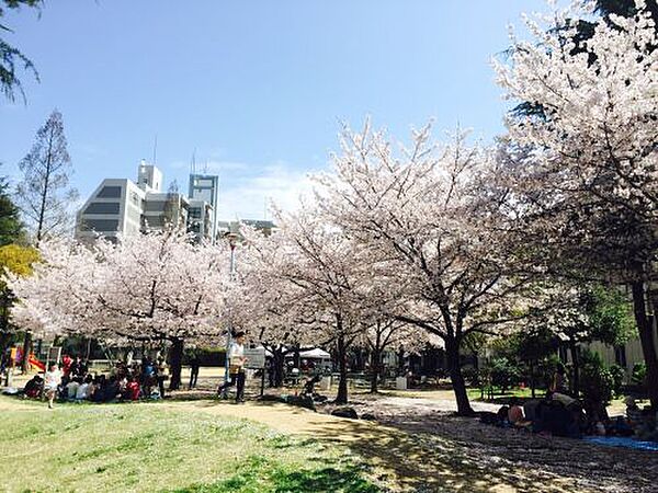 シーズンフラッツ阿波座 1104｜大阪府大阪市西区立売堀5丁目(賃貸マンション1LDK・11階・34.20㎡)の写真 その27