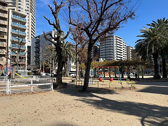 南大江公園　徒...