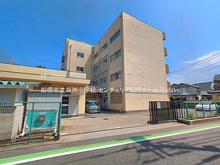 小学校 550m 船橋市立海神小学校