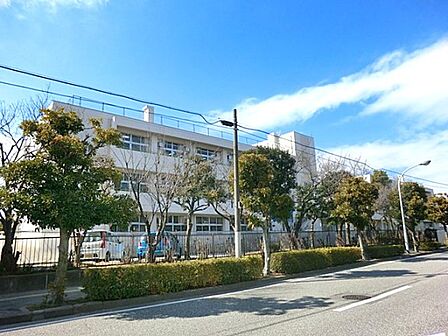 小学校 990m 浦安市立見明川小学校