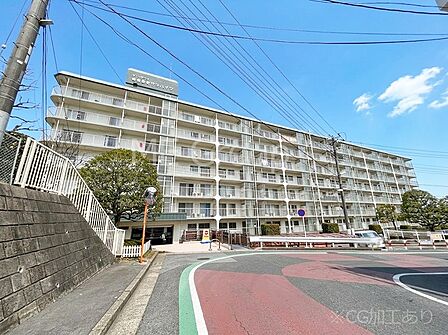 溢れる陽光でご家族の笑顔も輝く