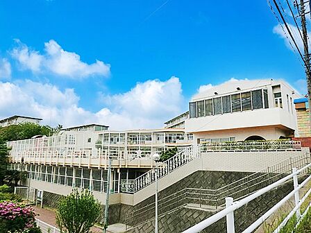 幼稚園・保育園 100m 暁幼稚園