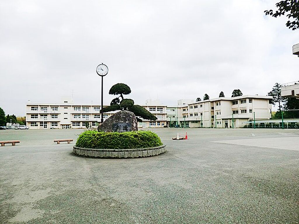 Image 39