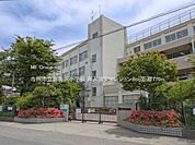 小学校 770m 市川市立富美浜小学校