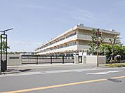 小学校 500m 浦安市立美浜南小学校