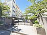 周辺：小学校 260m 市川市立新井小学校