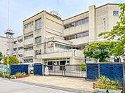 小学校 670m 松戸市立八ケ崎小学校