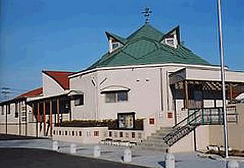 Image 5