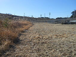 物件画像 坪単価3000円　多目的に活用可能  太陽光発電用地