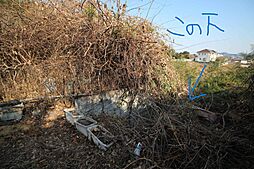 物件画像 小川町大塚　山林