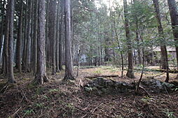 物件画像 秩父市荒川白久　山林