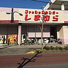 ファッションセンターしまむら中藤店 徒歩21分。ショッピングセンター 1640m