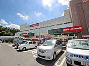 コジマ×ビックカメラ東村山店 徒歩10分。ホームセンター 780m