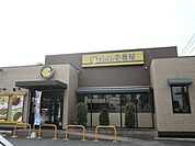 CoCo壱番屋国分寺並木町店 442m
