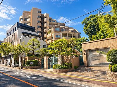 外観:外観 外観:外観
