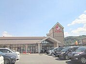 マツモト　荒塚店まで500メートル