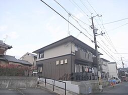 ハイカムール今原