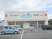 ダックス　亀岡大井店まで800メートル