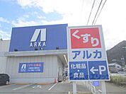 アルカドラッグ篠山店まで800メートル