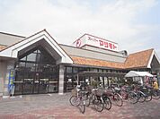 マツモト 大井店まで400メートル