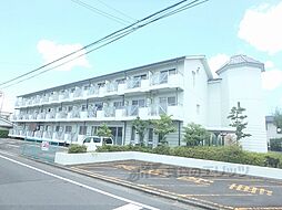 JR東海道・山陽本線 守山駅 徒歩14分の賃貸マンション