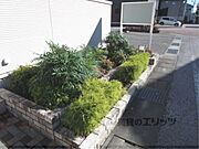 植栽