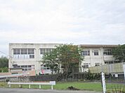 真野幼稚園まで1400メートル