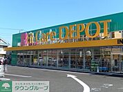 Fit　Care　DEPOT登戸店 徒歩8分。ドラックストア 580m