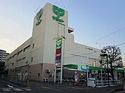 サミット 887m