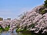 周辺：ソメイヨシノやヤマザクラなどが植えられ、桜の名所としても知られています。初夏には新緑、秋の紅葉など、四季折々の風景をボートに乗って眺めることができます。