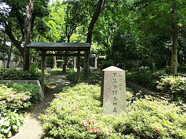 周辺