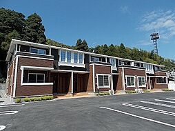 スプリング　Ｗ　愛