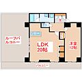 ヴォルフスガルテン上之園11階11.7万円