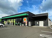 タイヨー春山店 77m