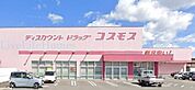 ディスカウントドラッグコスモス昭和町店 744m