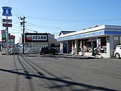 ローソン徳島北田宮1丁目店 521m