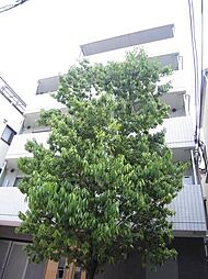 スカイコート文京白山第5