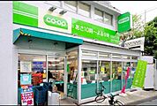 ミニコープ 603m