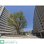 東京都品川区上大崎2丁目：物件画像／株式会社タウンハウジング東京　自由が丘店